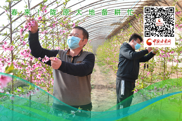 海報(bào)丨春來(lái)！隴原大地春耕忙