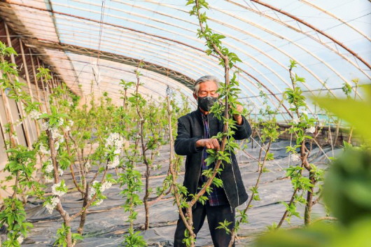 銅城復蘇：春光明媚，邀你共賞芳華（組圖）