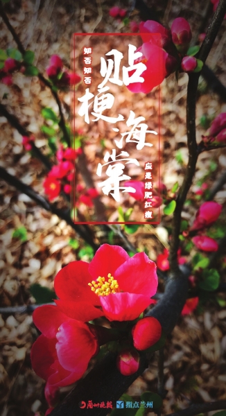 來，跟這些美美的花朵認識一下！
