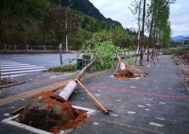 刮風(fēng)下雨加速新冠病毒傳播？別信！