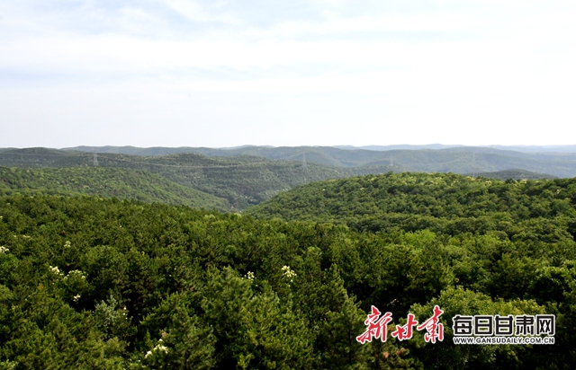 【甘肅生態(tài)環(huán)保媒體行】子午嶺深處，一家三代人用生命守護(hù)黃土高原的“天然生態(tài)屏障”