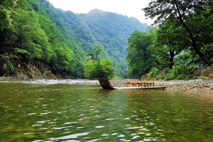 【小隴畫(huà)報(bào)·95期】康縣：來(lái)陽(yáng)壩，“森”呼吸，我“氧”你