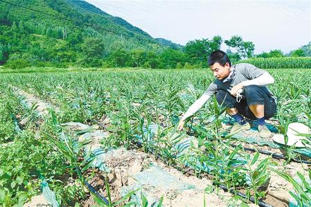 【走向我們的小康生活】安居樂業(yè) 幸?；ㄩ_