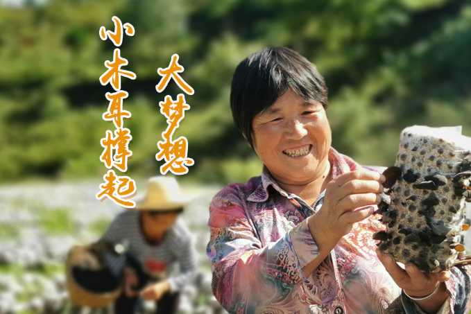 海報(bào)丨他們，乘“豐”破浪！