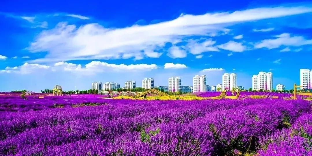 喜訊！金昌蟬聯(lián)全國文明城市