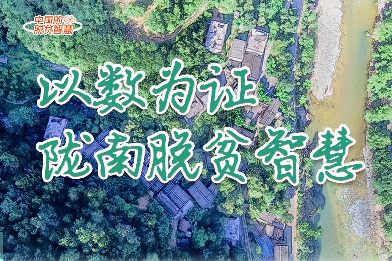 【中國的脫貧智慧】以數(shù)為證！隴南脫貧智慧來了！
