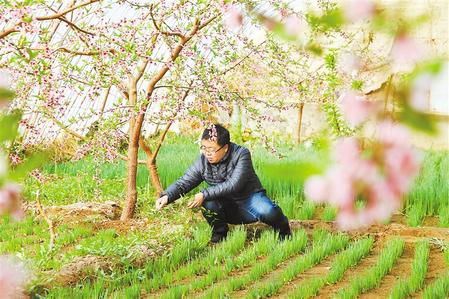 甘肅：時令催人耕種忙，不誤田間一季春