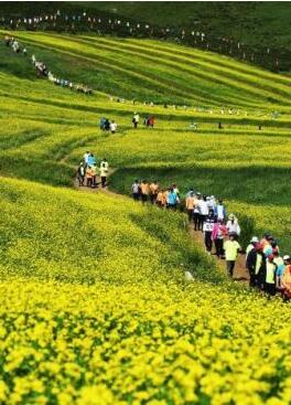 甘肅明確農(nóng)民進城落戶:不以退出承包地、林地等為條件