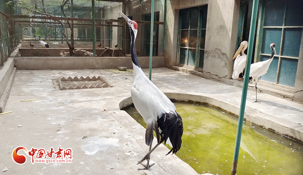 蘭州公安提醒市民：非緊急非必要，不出境