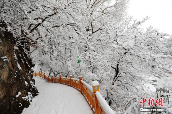 圖為上山的石階被雪覆蓋。張?zhí)鞂?攝