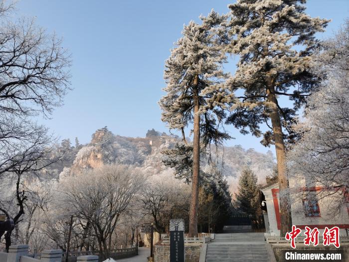 圖為崆峒山霧凇景色美不勝收?！⌒煺袢A 攝