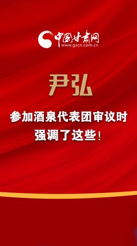 【2022甘肅兩會·圖解】尹弘書記參加酒泉代表團審議時強調了這些！