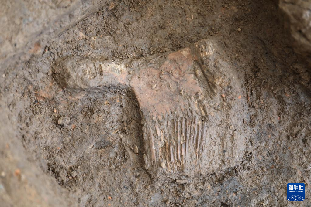 河南南陽(yáng)市黃山新石器時(shí)代遺址出土的屈家?guī)X文化骨梳（資料圖）。