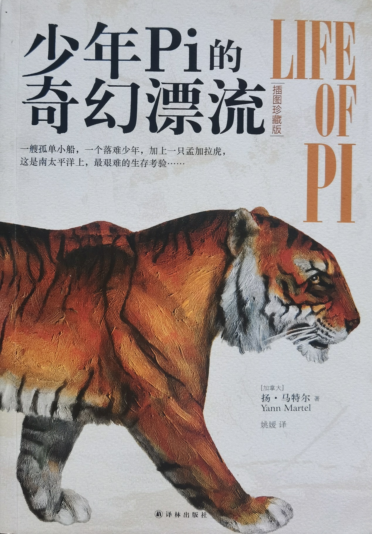 插圖1：揚(yáng)？馬特爾的小說(shuō)《少年pi的奇幻漂流》封面