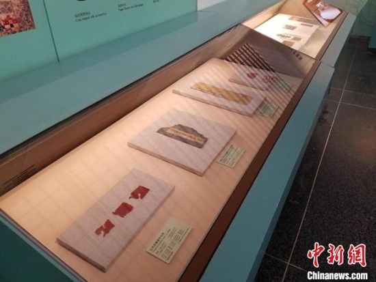 圖為展覽現(xiàn)場?！《鼗脱芯吭汗﹫D