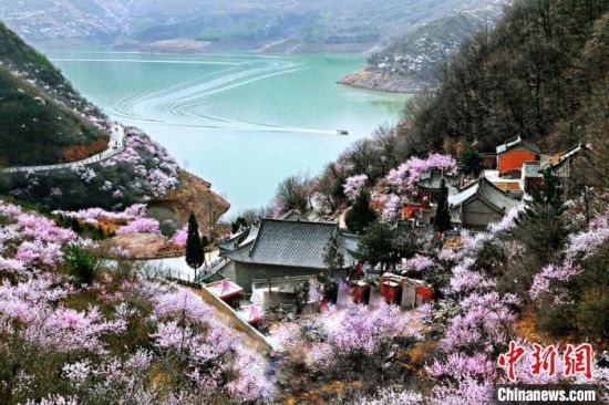 甘肅平?jīng)鍪惺侵袊鴥?yōu)秀旅游城市。圖為平?jīng)鲠轻忌较率锾一ㄊ㈤_。(資料圖) 平?jīng)鍪形麄鞑抗﹫D