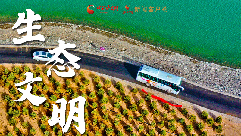 彈幕海報丨熱議甘肅省委十三屆十六次全會 網(wǎng)民聲音在回響！