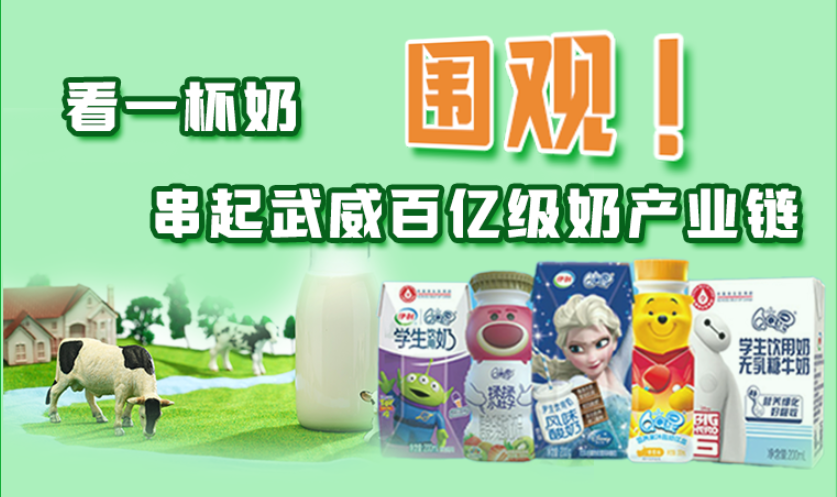 圖解|圍觀！看一杯奶串起武威百億級奶產(chǎn)業(yè)鏈