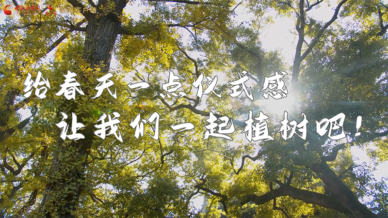 短視頻|給春天一點(diǎn)儀式感，讓我們一起植樹吧！