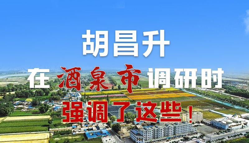 圖解|胡昌升在酒泉市調研時強調了這些！