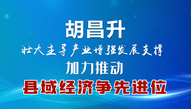 胡昌升：壯大主導(dǎo)產(chǎn)業(yè)增強發(fā)展支撐 加力推動縣域經(jīng)濟爭先進(jìn)位