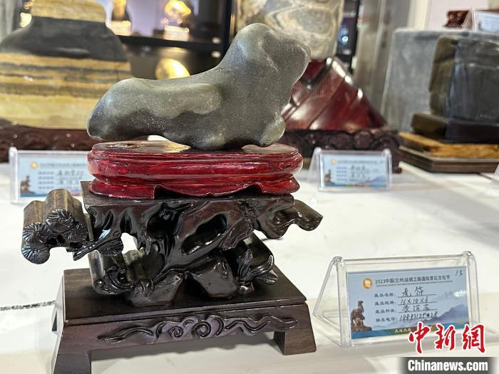 8月3日——7日，2023中國(蘭州)絲綢之路國際賞石文化節(jié)在甘肅國際會展中心舉行。圖為名為《虎符》的黃河石。楊娜 攝</p><p>
