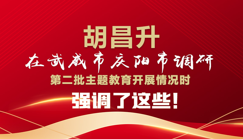 圖解|胡昌升在武威市慶陽市調(diào)研第二批主題教育開展情況時強調(diào)了這些！