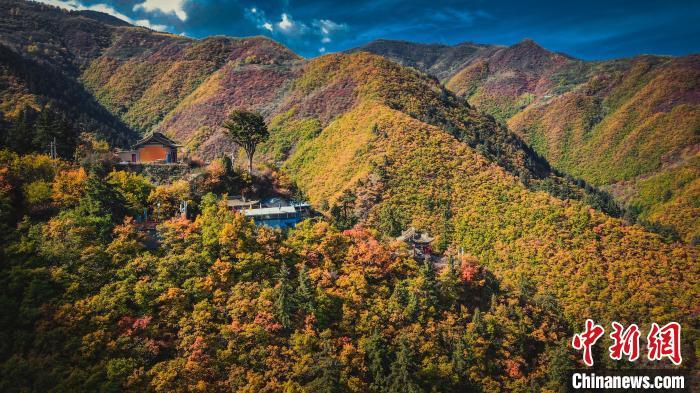 深秋，位于蘭州市榆中縣的興隆山，似打翻調(diào)色板。金峯 攝