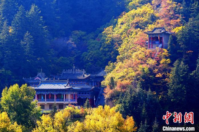 深秋，位于蘭州市榆中縣的興隆山景色如畫。宮衛(wèi)紅 攝