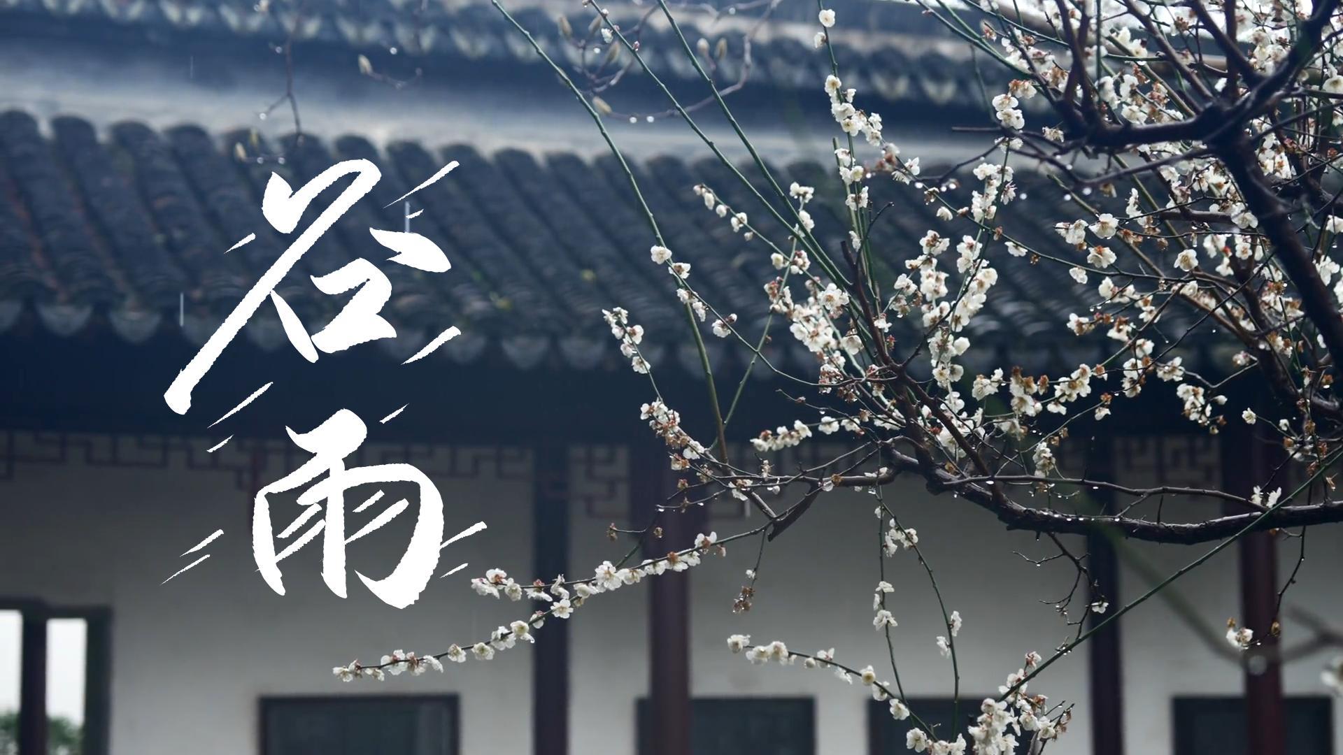 【節(jié)氣里的大美甘肅】谷雨，春天的最后一次回眸