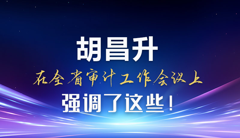 圖解|胡昌升在全省審計工作會議上強調(diào)了這些！