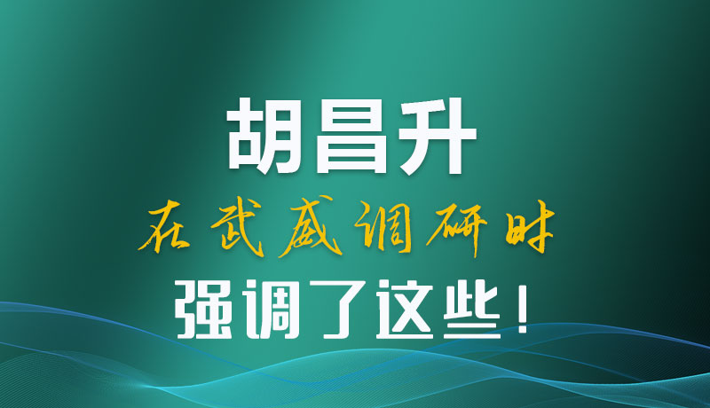 圖解|胡昌升在武威調(diào)研時強調(diào)了這些！
