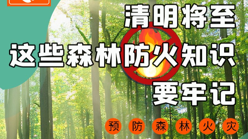 【甘快看】圖解|緊繃“安全弦”！清明，這些森林防火知識要牢記
