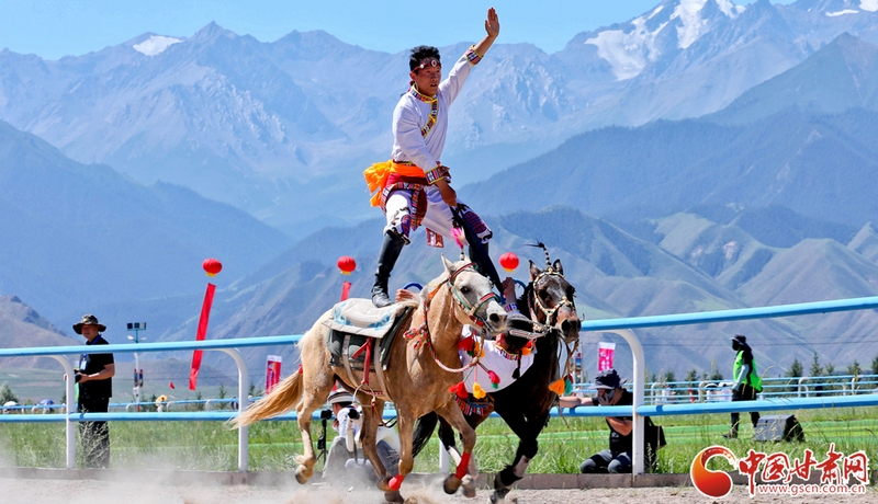 隴拍客丨肅南：駿馬馳騁助燃夏日旅游
